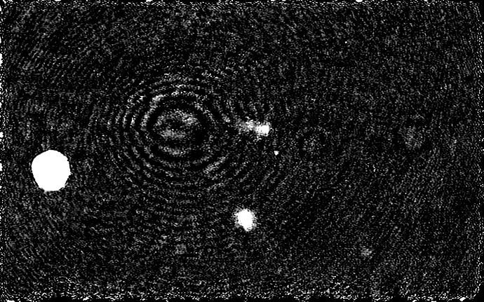 p_fc2_save_2024-04-28-181204-0011.tifcell1