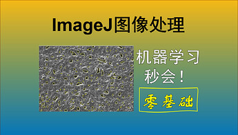 Screenshot 2024-03-29 210101