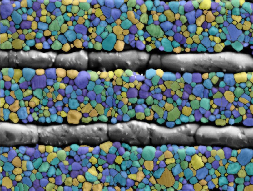 ee4442349b190398d3ae2b80c50fd06